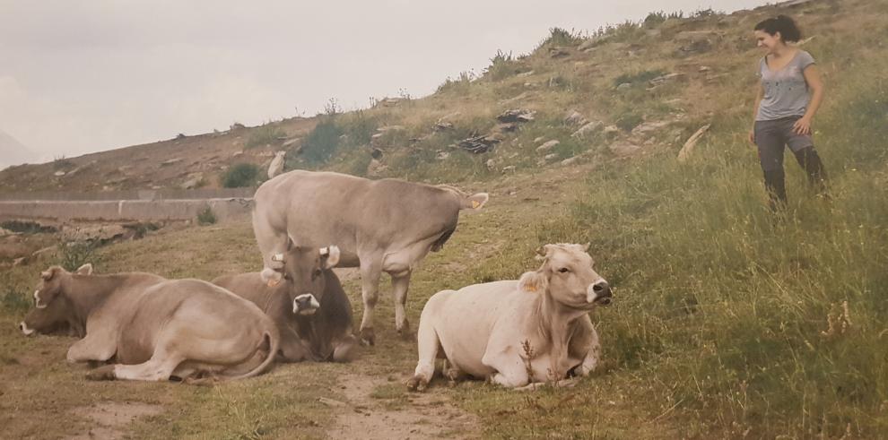 🌾 Mujeres lideran el cambio en el campo: crece el liderazgo femenino en el sector agrario y rural en Aragón