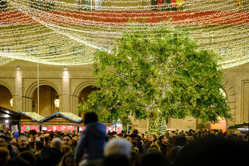 🎄 Zaragoza cierra una Navidad histórica con 342.000 visitantes y 76 millones de euros de impacto económico