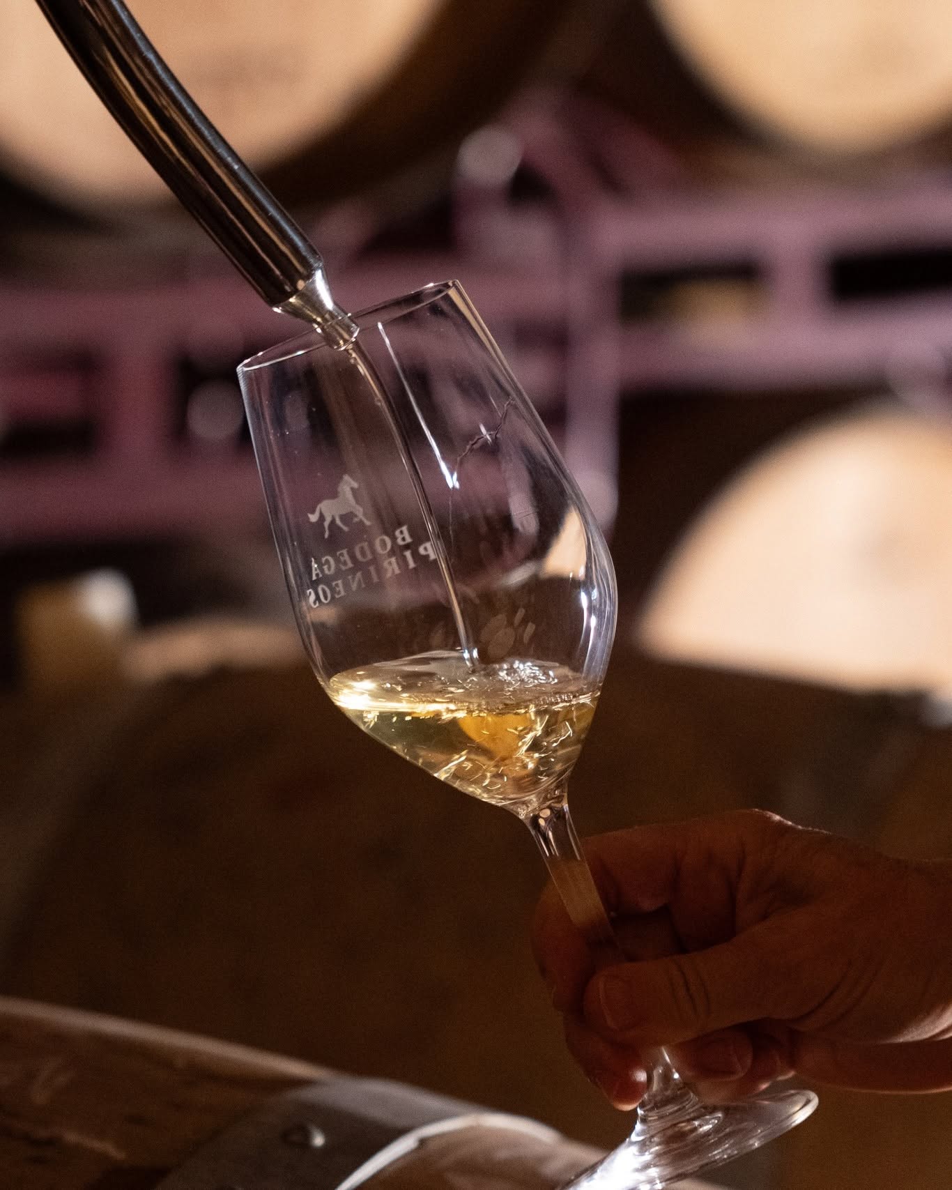 Barbastro se prepara para convertirse en la gran capital del vino y la gastronomía del Somontano
