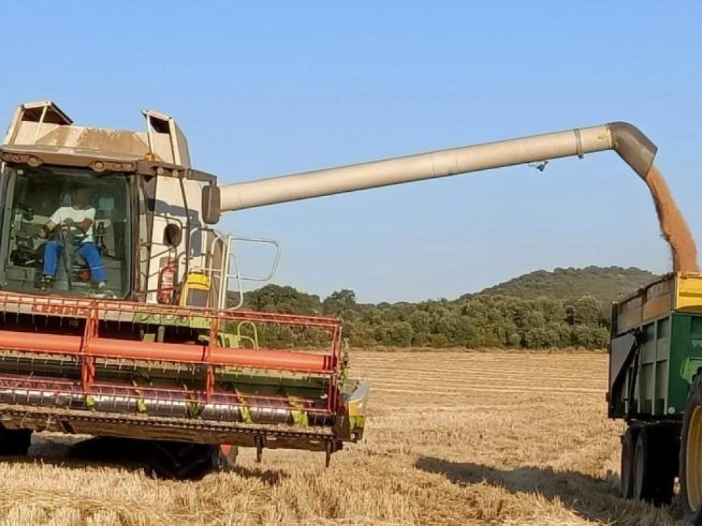 Aragón impulsa el relevo generacional con ayudas para 253 jóvenes agricultores