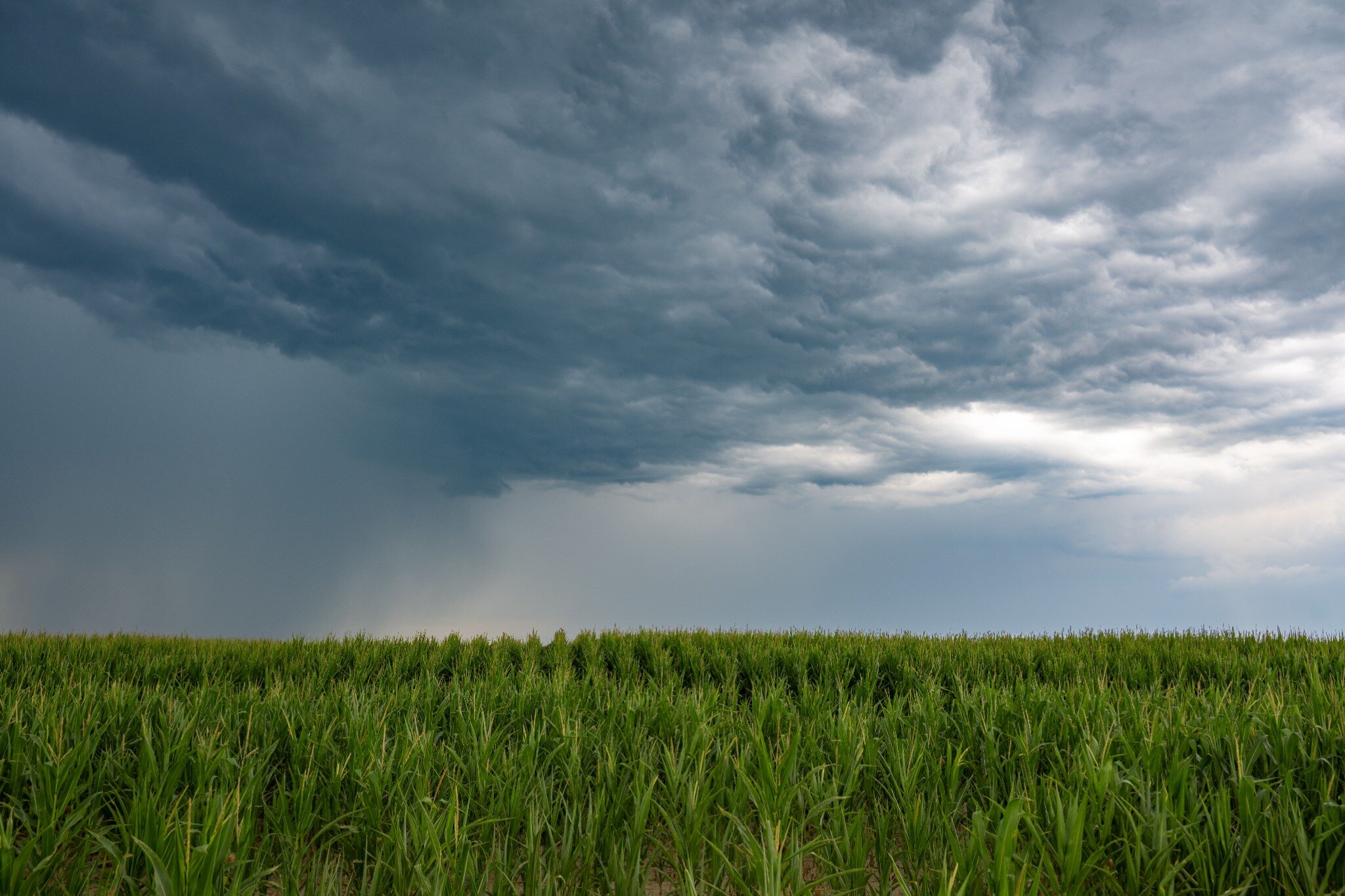 España mira al futuro del campo: así se prepara para resistir sequías e inundaciones