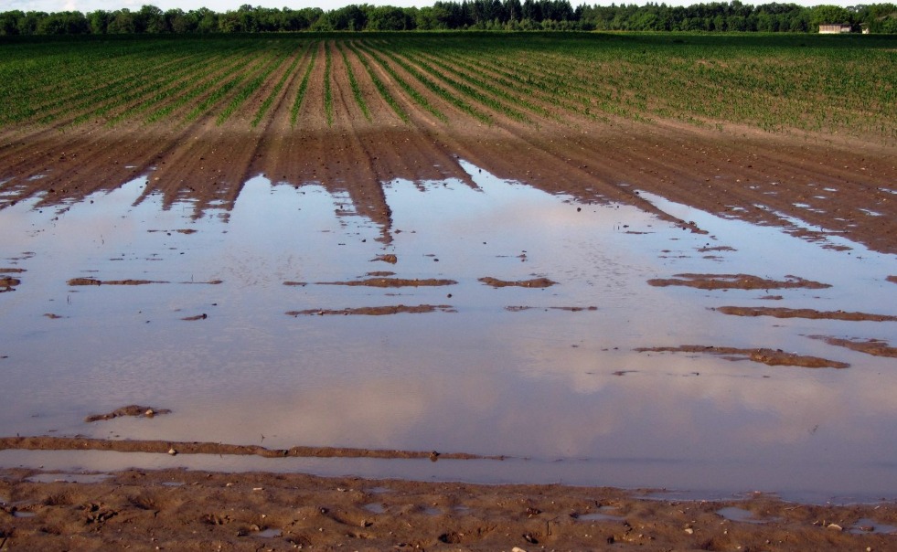 ¿Y si guardáramos parte del agua que hoy nos inunda para cuando llegue la sequía? Europa ya lo está intentando
