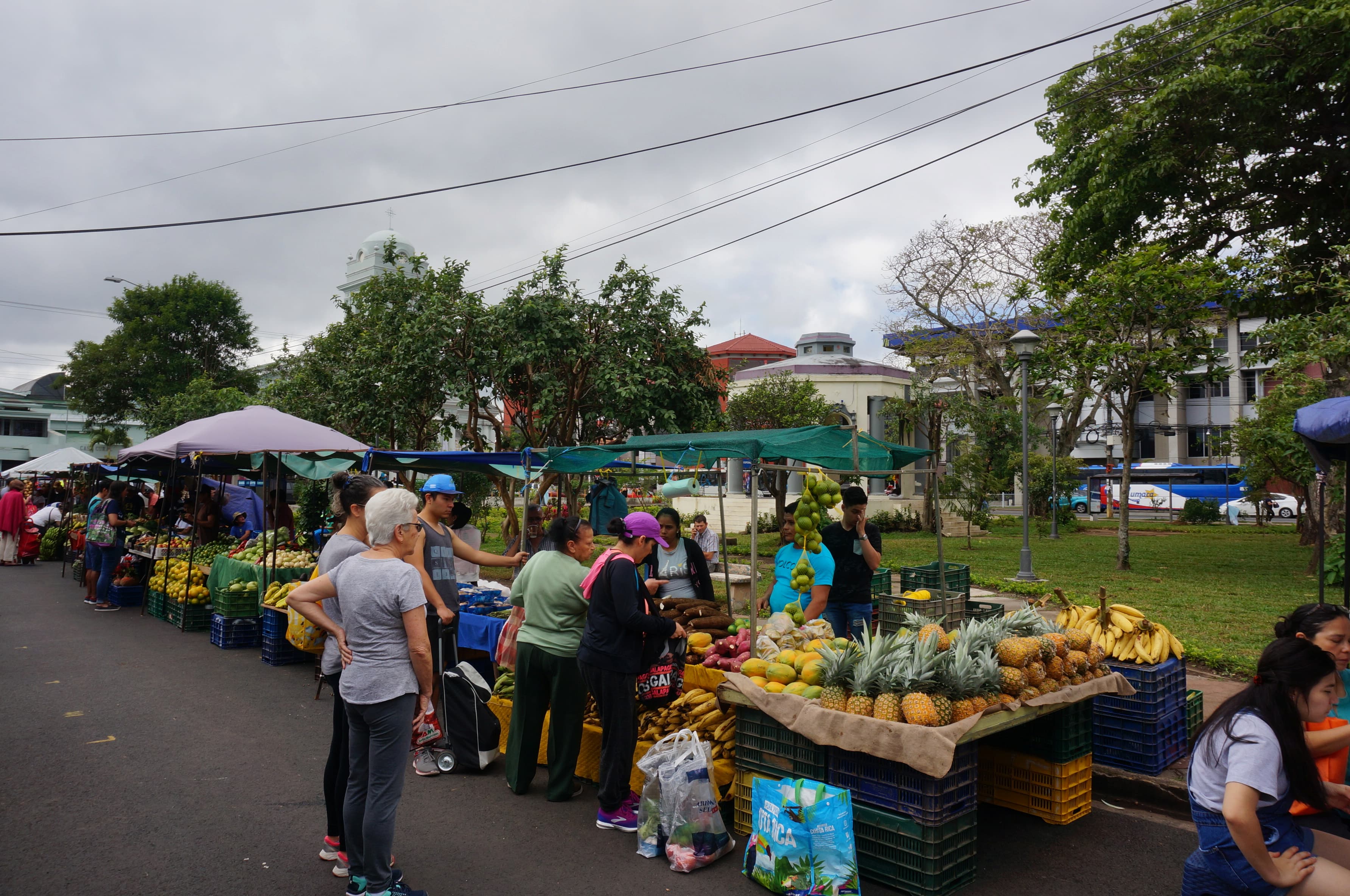 Aragón pone sobre la mesa un debate que también inquieta a los pequeños productores de Costa Rica