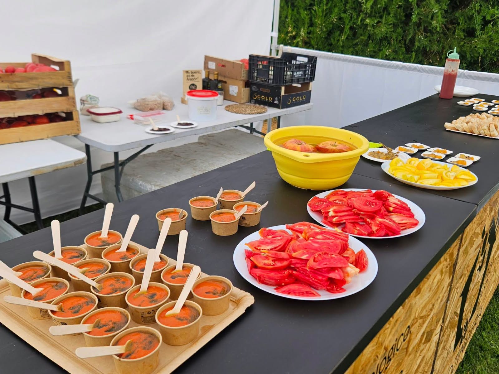 No rescatan solo tomates: rescatan la memoria agrícola de todo un territorio