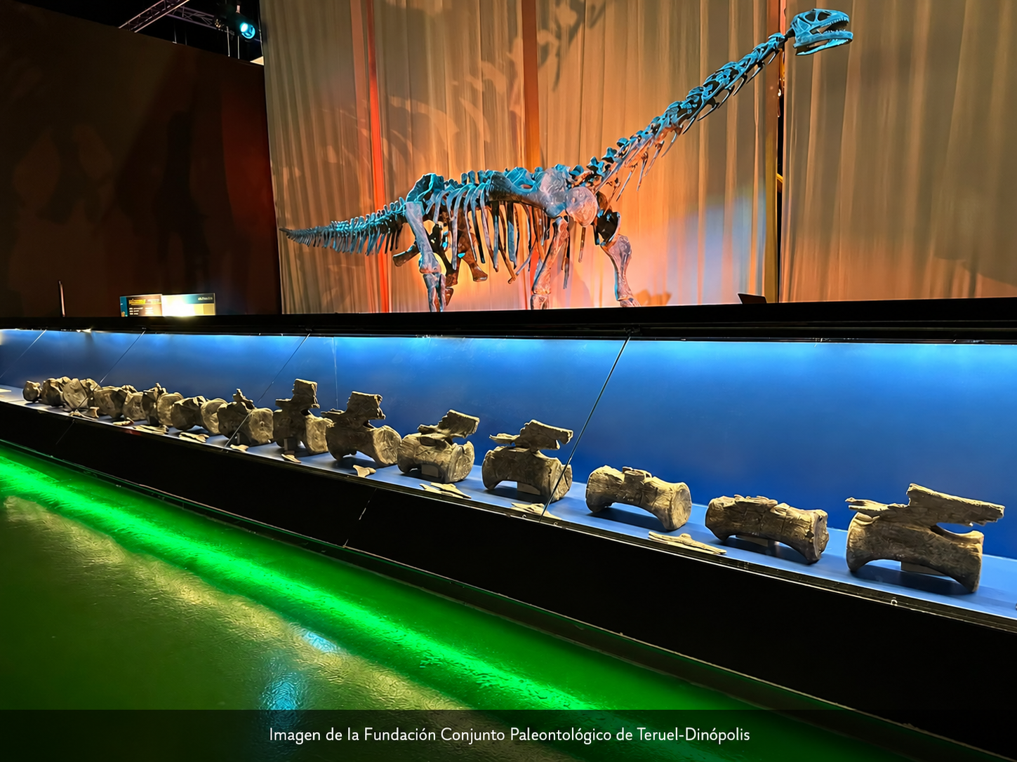 El dinosaurio gigante que cambió la historia: hallan en España el primer diplodocus fuera de Norteamérica